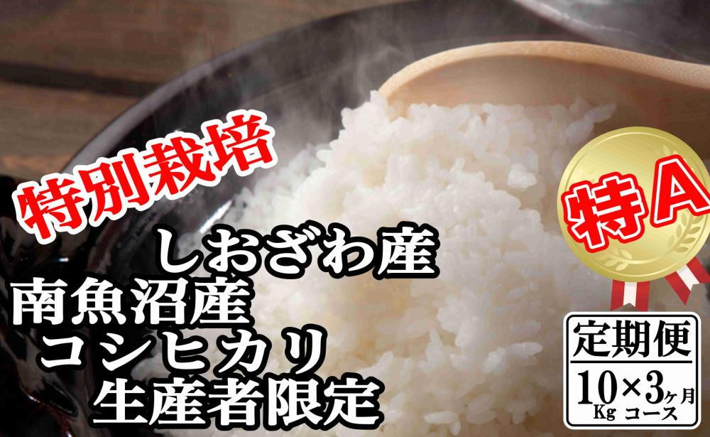 
【定期便：10Kg×3ヶ月】特別栽培 生産者限定 南魚沼しおざわ産コシヒカリ
