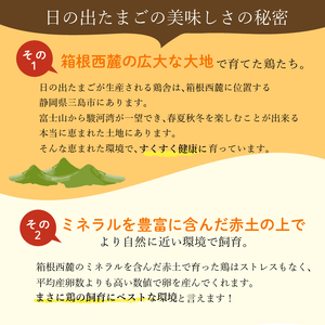 日の出たまご 45個  卵  三島ブランド たまご 