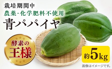 糸島産 青パパイヤ 約5kg 糸島市 / 食と健康のブリッジベース 野菜 タイ料理 [ANN001] の野菜の野菜の野菜の野菜の野菜の野菜の野菜の野菜