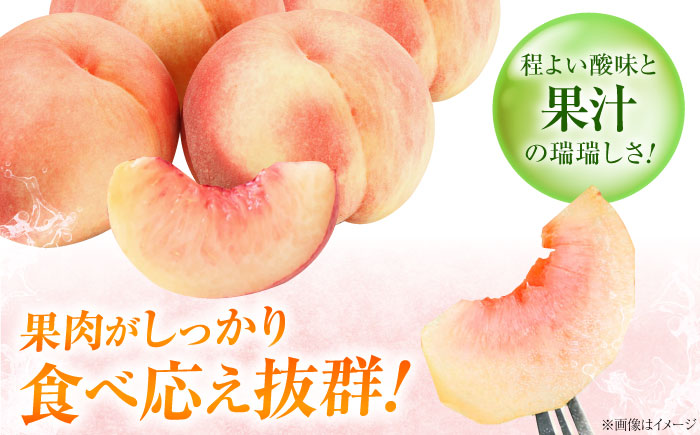 【先行予約】 藤渕果樹園の桃・梨セット 各6玉 〈2026年8月～発送〉 ／ 桃 もも 梨 なし フルーツ 果物 くだもの 季節のフルーツ 【株式会社内子フレッシュパークからり】 [BKAD077]