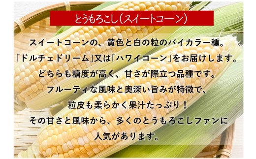 ＜2026年8月上旬よりお届け＞北海道壮瞥産 とうもろこし（スイートコーン）13本 約5kg SBTN001