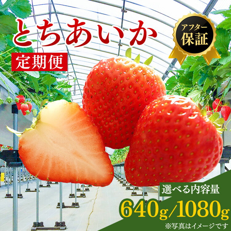 【ふるさと納税】【先行予約】【選べる内容量】【2ヶ月定期便】いちご市 鹿沼の美味しい「い」「ち」「ご」 とちあいか 320g×2パック/270g×4パック ｜ イチゴ 苺 フルーツ 果物 贈答用 全2回 お届け ※沖縄・離島への配送不可 ※2026年1月上旬～2月下旬頃に順次発送予定