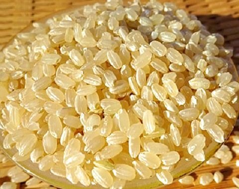 完全自然米 2.7kg【玄米】