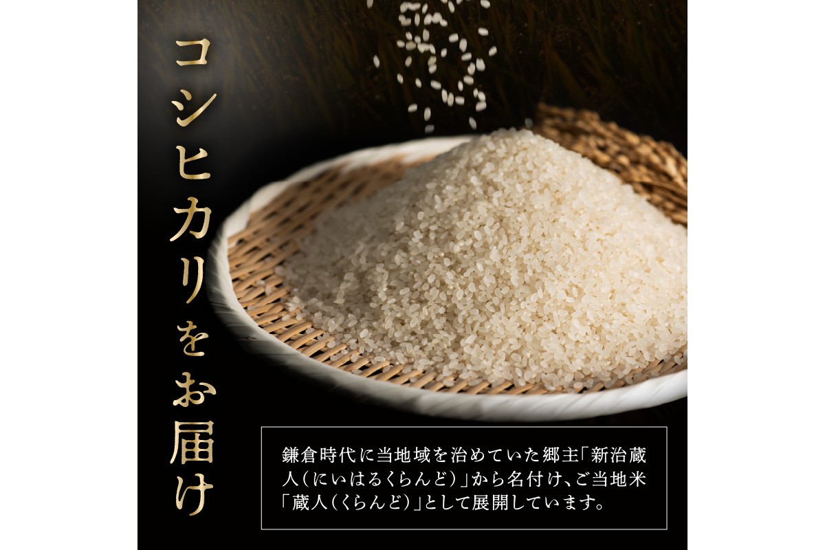 令和8年産 特別栽培米コシヒカリ 蔵人（くらんど） 玄米20kg 特別栽培米 コシヒカリ 蔵人 おこめ 京都産 ふるさと納税 玄米 ふるさと納税 コシヒカリ こしひかり　GF00026