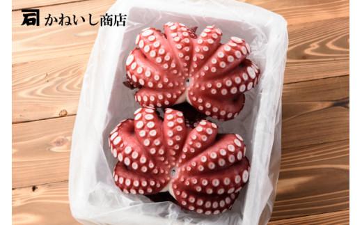 かねいしの蒸し蛸2尾【約1kg×2尾】 BU002-2kg-r7