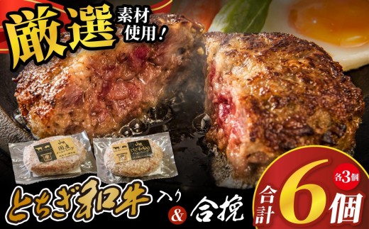 とちぎ和牛入りハンバーグ＆国産ハンバーグ (1個150g)×各3個 900g| 和牛 国産 ハンバーグ 2種 セット 栃木県 矢板市