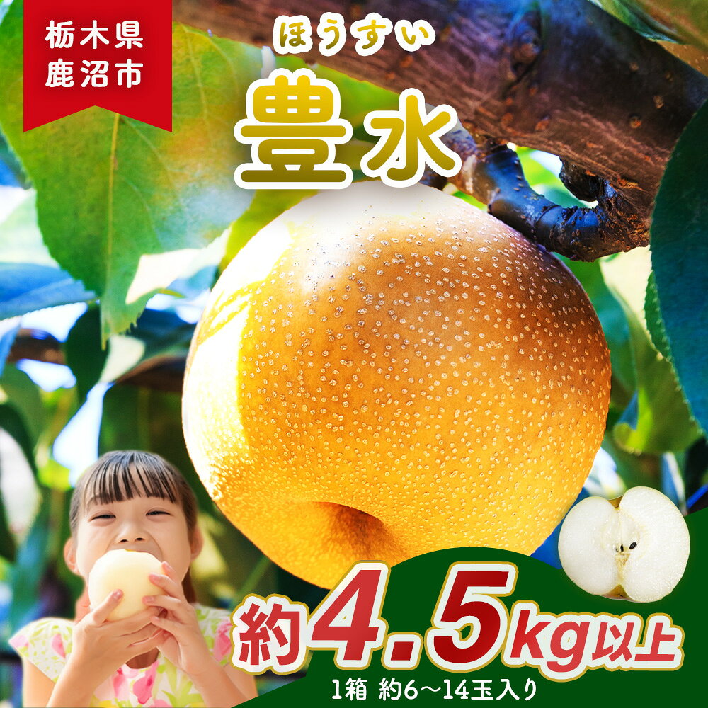 【ふるさと納税】梨(豊水) 6玉～14玉入り×1箱 (4.5kg以上) ｜なし ほうすい 和梨 果物 フルーツ デザート 先行予約 国産 栃木県 鹿沼市 ※2026年8月下旬～9月下旬頃に順次発送予定