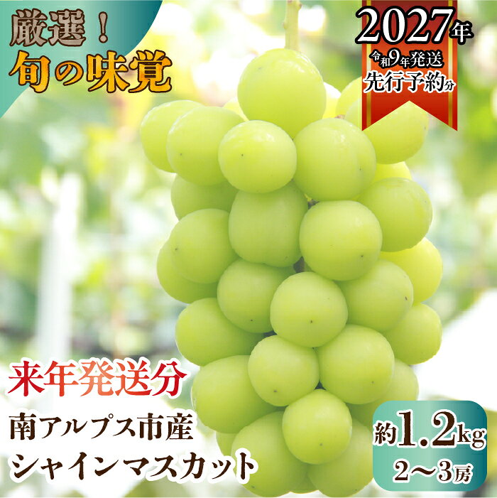 【ふるさと納税】 【2027年発送先行予約】厳選！南アルプス市産　シャインマスカット　約1.2kg（2〜3房） ふるさと納税 シャインマスカット 葡萄 ぶどう 果物 フルーツ おすすめ 山梨県 南アルプス市 送料無料 ALPDD009