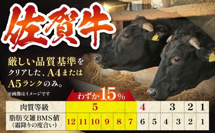 佐賀牛 ハンバーグ 冷凍 国産 A5 牛肉 黒毛和牛 佐賀 和牛 定期便 贈答用 贈答品 贈り物 プレゼント A5ランク