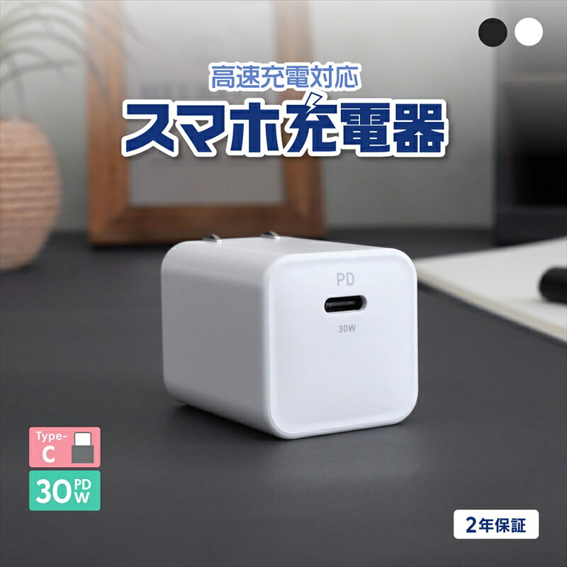 【ふるさと納税】Owltech(オウルテック) 最大PD30W出力 GaN採用 USB Type-C×1 AC充電器 OWL-APD30C1GB【 神奈川県 海老名市 】