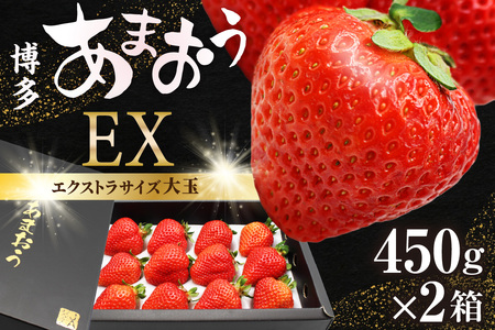 【先行予約】1月より順次発送！「博多あまおう」EX　贈答用化粧箱　約450g 2箱【ほたるの里】_HA0753