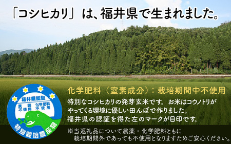【令和7年産】発芽玄米 コシヒカリ「特選」特別栽培米使用 2kg×3袋（計6kg）【米 こしひかり 玄米 ギャバ GABA 特別栽培 食物繊維 栄養 真空パック ごはん ご飯 おいしい ふるさと納税米