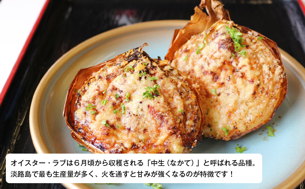 淡路島産玉ねぎオイスターラブ 10kg箱