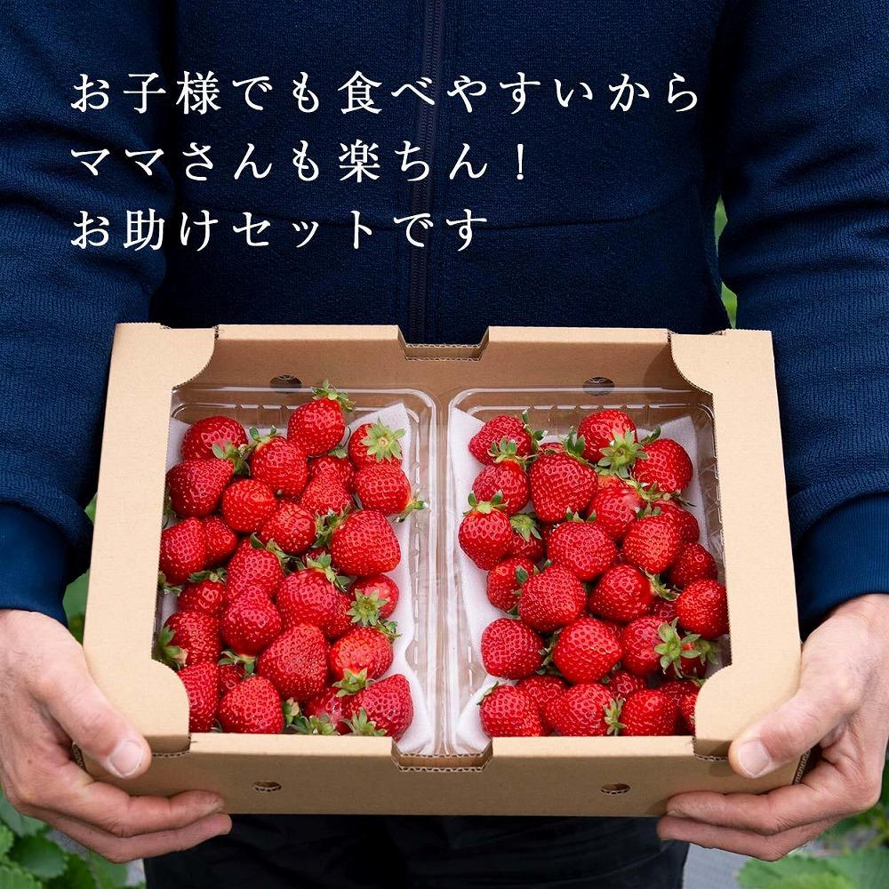 【2025年1月～4月納品分予約販売】★たっぷり1000g！★ミニサイズの「完熟あまおう」セット