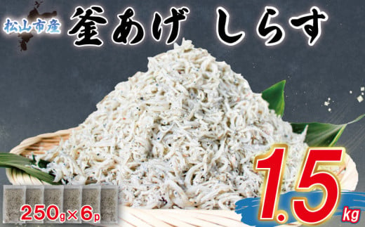 家庭用 釜揚げ しらす 約1.5kg | 家庭用 訳あり 不揃い 国産 しらす干し おつまみ 酒の肴 冷凍 小分け 個包装 便利 おかず 惣菜 弁当 簡単調理 ごはんのお供 加工品 海の幸 しらす丼 グルメ 食品 魚介 小魚 魚 鮮魚 海鮮 シラス お取り寄せ 送料無料 愛媛県 松山市