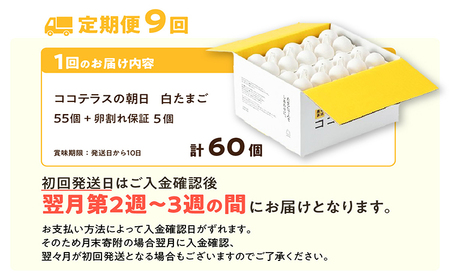 【9ヵ月定期便】ココテラスの朝日（白たまご）55個 + 5個保証（計60個）【JGAP認証】 農家直送 新鮮 卵 タマゴ 白卵 玉子 鶏卵 朝食 夕食 夜食 朝ごはん たまご焼き だし巻き卵 オムレツ