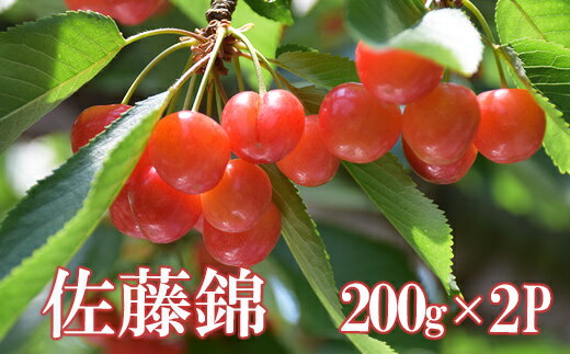 【ふるさと納税】No.2282さくらんぼ 佐藤錦 200g×2パック【2025年発送】