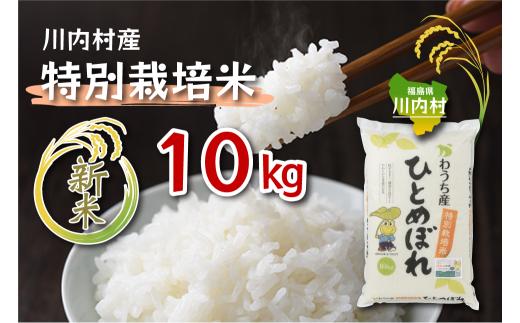 【ふるさと納税】令和7年度 かわうち産 特別栽培米 ひとめぼれ 10kg