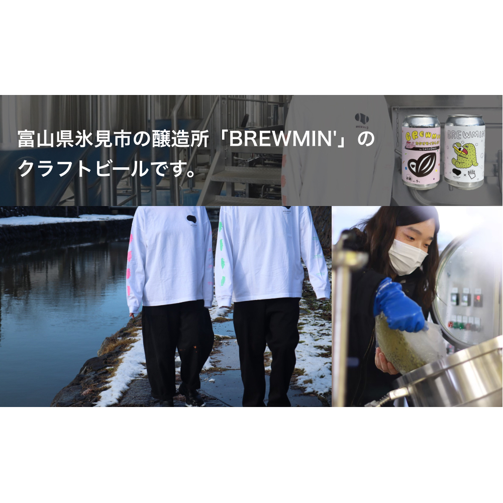 クラフトビール「とやま銀シャリラガー」6本セット 【BREWMIN'の定番ビール】 富山県 氷見市 地ビール ビール ６ 缶 詰め合わせ_イメージ3