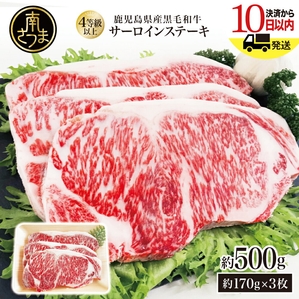 【ふるさと納税】【訳あり】鹿児島県産 黒毛和牛 サーロイン ステーキ 約500g （約170g×3枚） ★特別寄付額・数量限定★ 国産 和牛 牛肉 お肉 サーロイン 4等級以上 冷凍 BBQ バーベキュー キャンプ スターゼンミートプロセッサー 送料無料