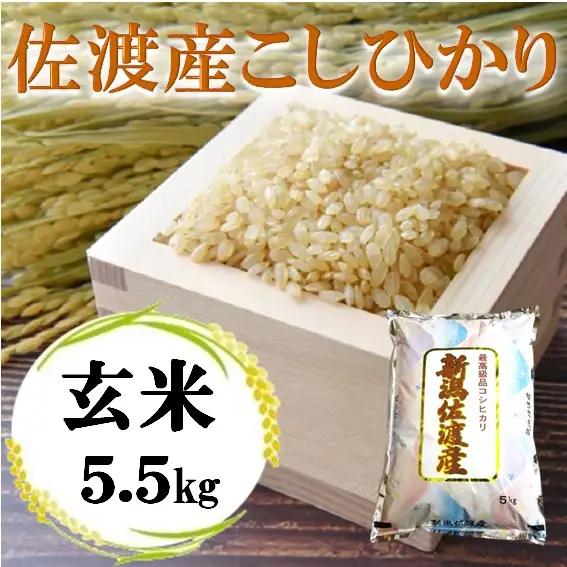 コシヒカリ 玄米 5.5kg | 新潟県 佐渡市 コシヒカリ