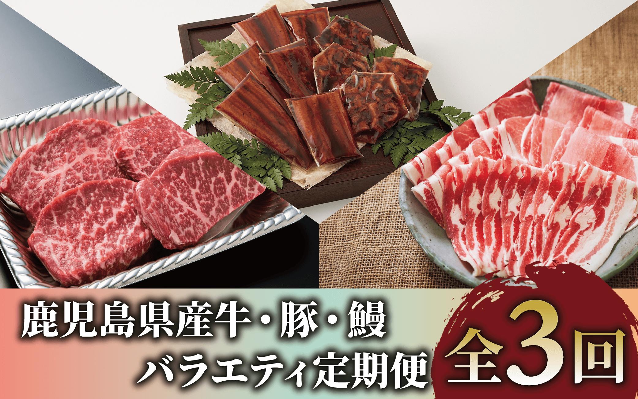 
            【全３回定期便】鹿児島県産牛・豚・鰻バラエティ定期便(Z055-1731) 牛 豚 鰻 牛肉 豚肉 肉 うなぎ 国産 鹿児島県産 鹿児島産 セット 頒布会 定期 ステーキ しゃぶしゃぶ 蒲焼 すき焼 すきやき すき焼き 冷凍 うなぎの蒲焼 うなぎ蒲焼 かばやき
          