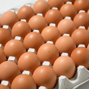 《全6回定期便》2週間以内に発送 新鮮 ★【 赤玉 50個 】君津市産 菜の花エッグ アスタキサンチン 菜の花たまご | 早く届く すぐ すぐ発送 卵 たまご タマゴ 鶏卵 玉子 赤 こだわり 卵かけ