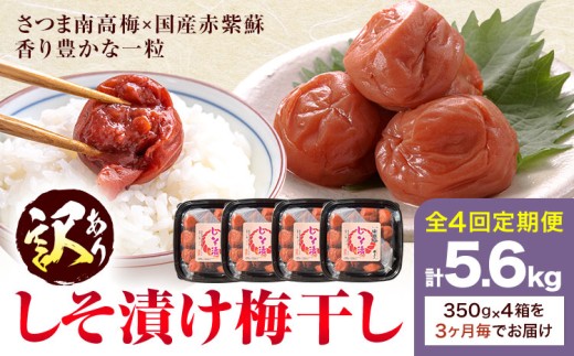 訳あり しそ漬け梅干し 350g×4箱 定期便 4回  農事組合法人 梅香丘《お申込みの翌月出荷》鹿児島県 さつま町 うめぼし 紫蘇 お取り寄せ プレゼント