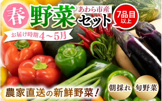 【先行予約】農家直送 春野菜セット 1箱 7品目以上 《元気に育った新鮮野菜！》 ※2026年4月下旬以降順次発送予定 [aw028-a008]