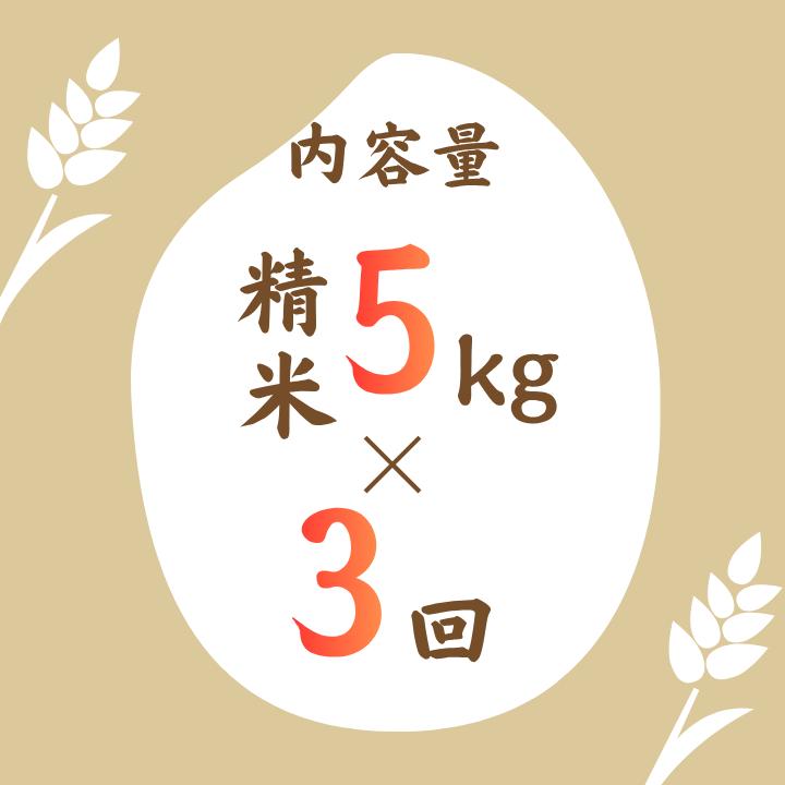【3ヵ月定期便】利根町産コシヒカリ　精米5kg×3回 ／ 米 こめ コメ お米 おこめ コシヒカリ こしひかり 令和7年産 新米 白米 精米 ご飯 ごはん 5kg 定期便 送料無料