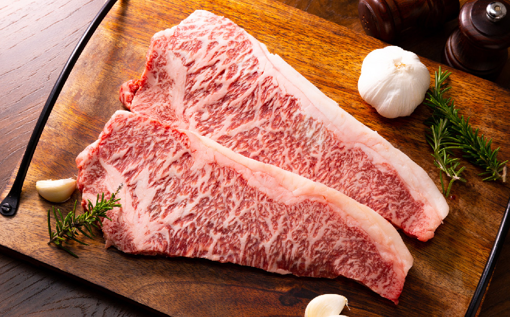 【6か月定期便】艶さし！【A4～A5】佐賀牛サーロインステーキセット 500g(250g×2枚)×6回【肉 牛肉 ブランド牛 黒毛和牛 ステーキ肉 ふるさと納税】(H112194)