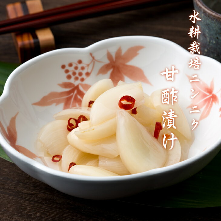 【ふるさと納税】 発芽 ニンニク 甘酢漬け セット（3パック）にんにく 臭い少なめ【A070-036】