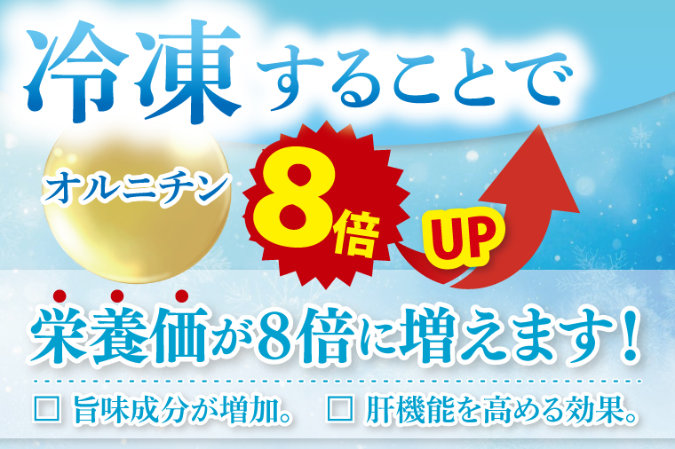 【全6回隔月定期便】茨城県涸沼川産 だしの濃さに違いが出る！手掘しじみ（砂抜き）500g×4個（2kg）【涸沼川 シジミ オルニチン 味噌汁 スープ 茨城県 水戸市】（MS-12）