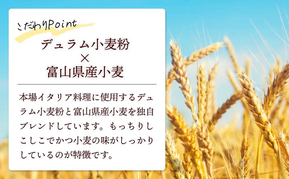 氷見パスタ10人前　【麺類・パスタ】