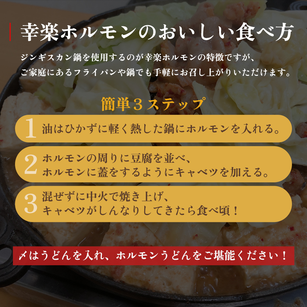 濃い甘の秘伝自家製ダレ 幸楽ホルモン 1.05kg × 2袋 （6人前）【ホルモン幸楽】