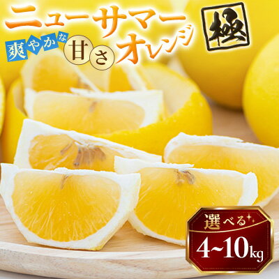 【ふるさと納税】【太陽をたっぷり浴びた】ニューサマーオレンジ【極】 4kg / 5kg / 10kg_ みかん ニューサマーオレンジ ミカン 蜜柑 にゅーさまーおれんじ 果物 くだもの フルーツ おいしい かんきつ 柑橘 【G1509760】
