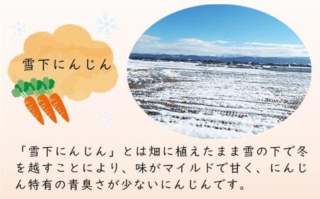 津南高原の雪下人参ジュース　200ml×20本｜新潟　津南　新潟県　雪下　人参　ジュース　野菜ジュース　200ml　20本