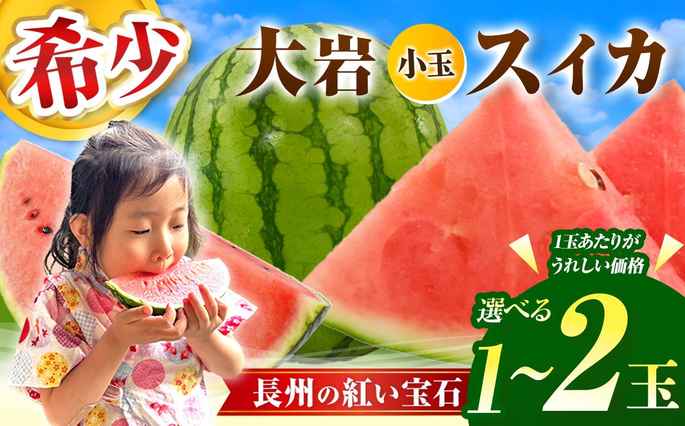 
            甘くて 果肉 たっぷり！ 大岩 こだま スイカ 1玉 ～ 2玉 「 神秘の里 大岩郷 よりお届け 長州の紅い宝石 」 先行予約 ＜ 2026年 7月下旬 ～ 8月頃 発送予定 ＞ | スイカ 小玉 小玉スイカ ブランド フルーツ 夏 果物 果実 山口 美祢 期間限定
          