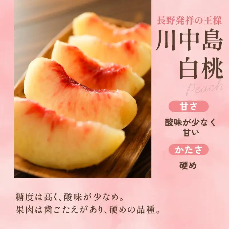 桃 川中島白桃 約5kg 13～22玉 フルーツ 桃