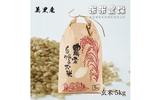 ＜令和7年産＞九州のお米食味コンクール2年連続優勝!熊本県美里町のお米ヒノヒカリ玄米　5kg×1袋【1681367】