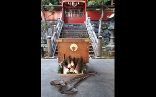 神饌タケノコ 500ｇ入り×3【2026年5月発送分】