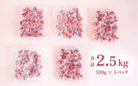 いちご 冷凍 訳あり 2.5kg いちご