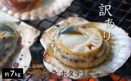 ※訳あり※R８年６月より順次出荷　遠別産殻付きホタテ貝（約７ｋｇ）加熱用【事前予約】
