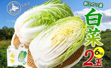 白菜 野菜 新しのつ産北海道産白菜【2玉約6kg】