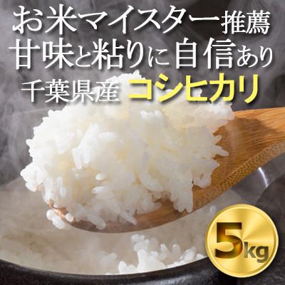 ふるさと納税 横芝光町 【令和7年産　新米】千葉県産コシヒカリ 精米5kg お米マイスター厳選/推奨 甘味と粘りに自信あり