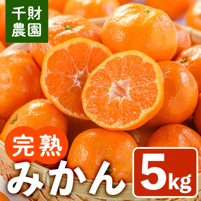 【ふるさと納税】＜先行予約受付中！2025年11月上旬から順次発送予定＞千財農園 みかん(約5kg)みかん ミカン 蜜柑 柑橘 フルーツ 果物 くだもの 果実【109000401】【千財農園】