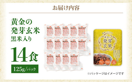 先行予約 パックご飯 玄米 125g×14食 [CGV002]