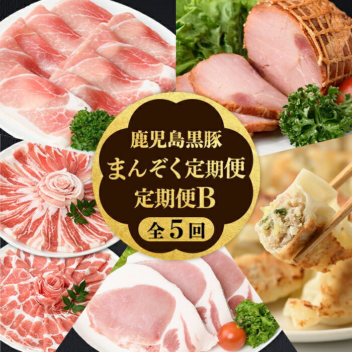 【ふるさと納税】＜定期便・全5回＞かごしま黒豚まんぞく定期便B (月1回×5ヶ月) 鹿児島 九州産 国産 肉 豚肉 黒豚 焼豚 肩ロース ロース モモ スライス 叉焼 餃子 ギョーザ ぎょうざ しゃぶしゃぶ とんかつ 加工品 セット 【和田養豚】