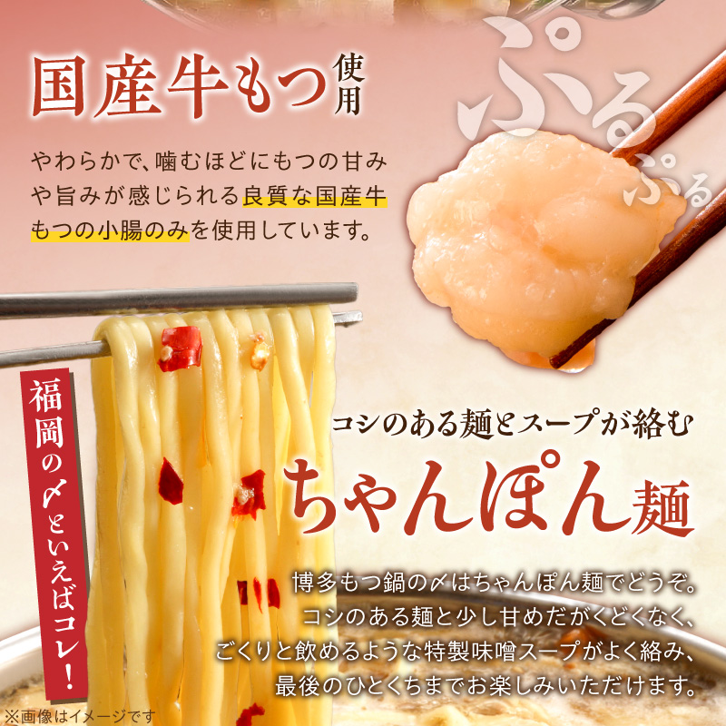 【ご家庭用】博多もつ鍋(味噌味)3人前 _ 博多 もつ鍋 セット 味噌味 3人前 牛もつ 300g 下処理済 味噌スープ 宗像産 大豆 ちゃんぽん麺 にんにく 唐辛子 ヘルシー 鍋 グルメ 郷土料理 