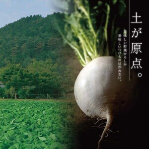 漬物 京つけものもり 千枚漬 1kg・赤かぶら千枚 0.5kg 計1.5kg 京漬物 野菜